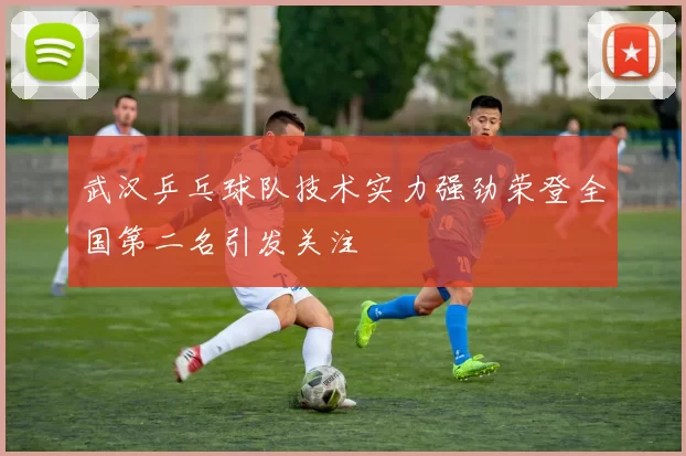 武汉乒乓球队技术实力强劲荣登全国第二名引发关注