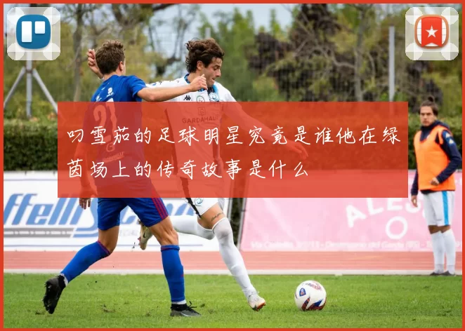 叼雪茄的足球明星究竟是谁他在绿茵场上的传奇故事是什么