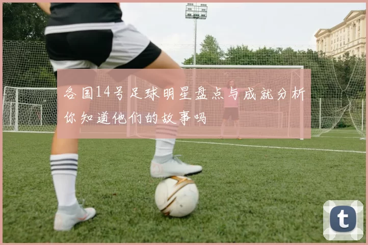 各国14号足球明星盘点与成就分析你知道他们的故事吗
