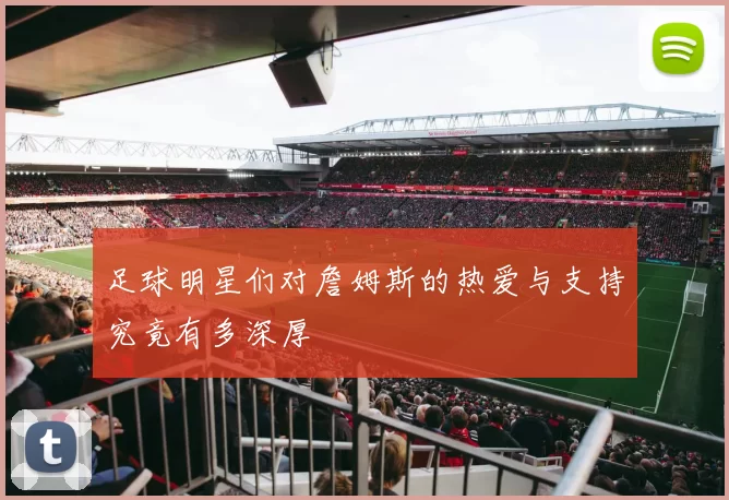 足球明星们对詹姆斯的热爱与支持究竟有多深厚