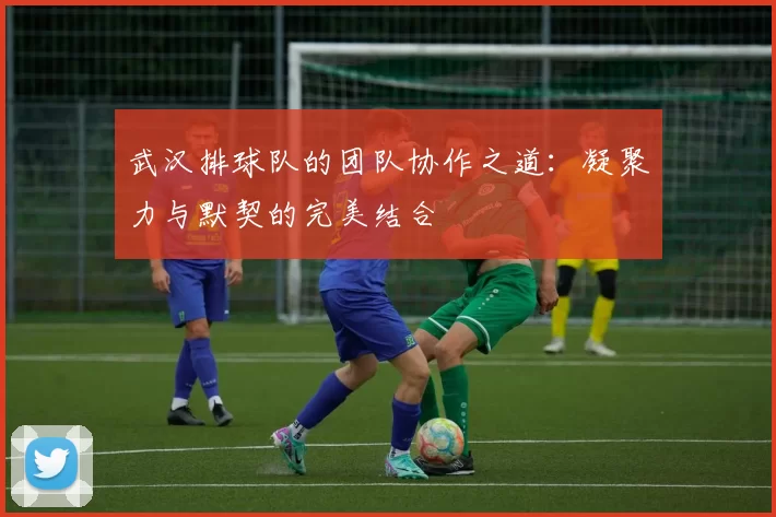武汉排球队的团队协作之道：凝聚力与默契的完美结合