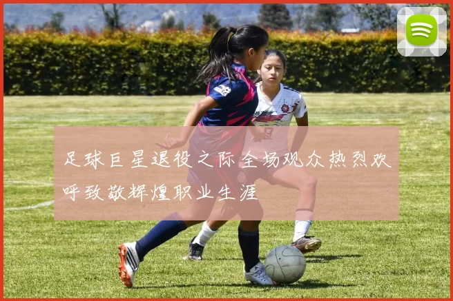 足球巨星退役之际全场观众热烈欢呼致敬辉煌职业生涯
