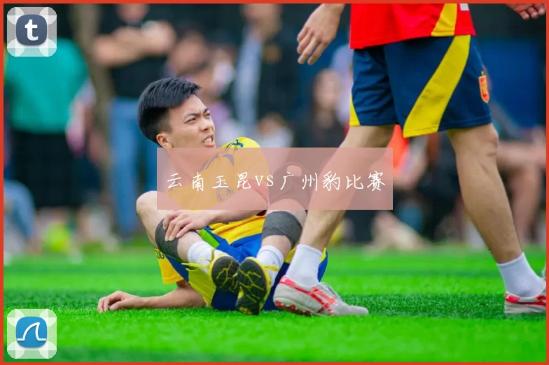 云南玉昆vs广州豹比赛