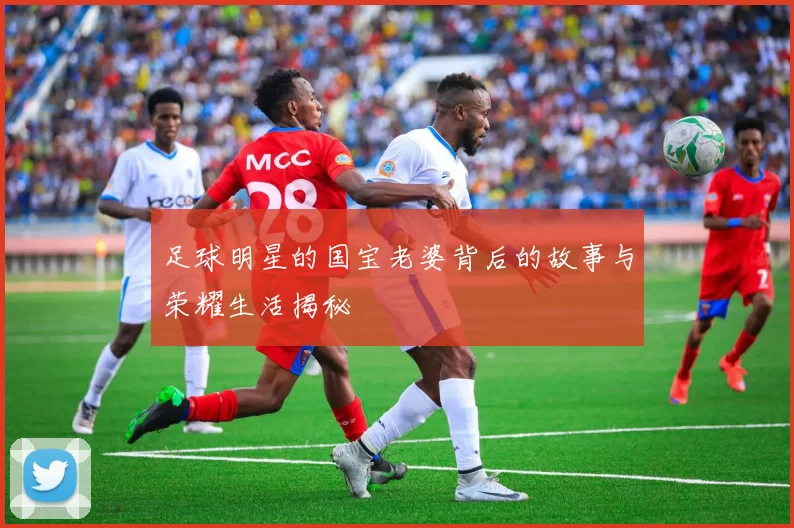 足球明星的国宝老婆背后的故事与荣耀生活揭秘