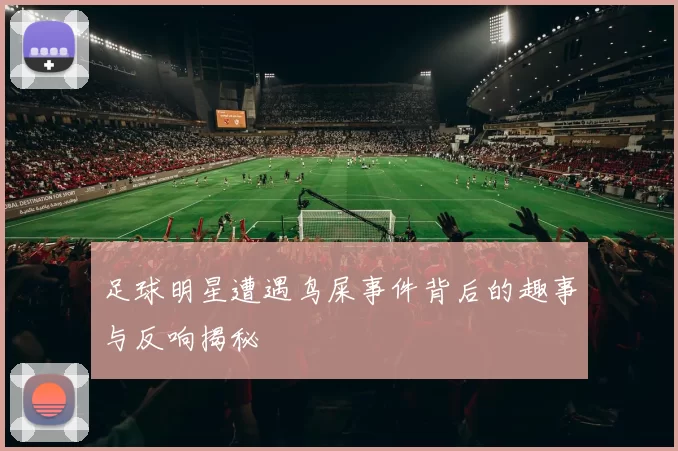 足球明星遭遇鸟屎事件背后的趣事与反响揭秘