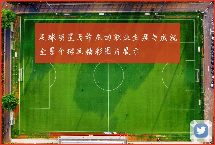 足球明星马希尼的职业生涯与成就全景介绍及精彩图片展示