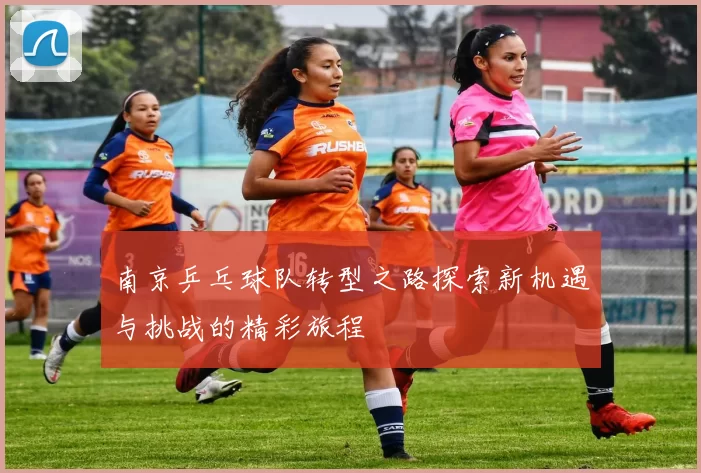 南京乒乓球队转型之路探索新机遇与挑战的精彩旅程