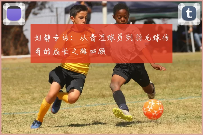 刘静专访：从青涩球员到羽毛球传奇的成长之路回顾